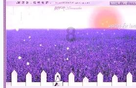 了解怎样创造爱情的能力,主动去爱的能力?知识星球平台,发现独特的知识价值
